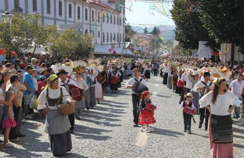 Casa d'Alvite - Arouca - Photo 30