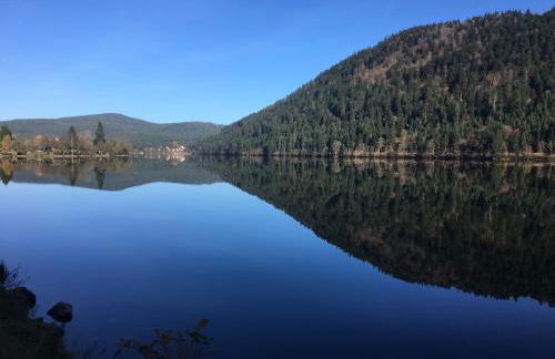 LE CHALET VOSGIEN bain nordique Kota Grill - Foto 41