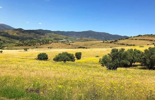 Casa Grande by Rosas Cantares - Foto 8