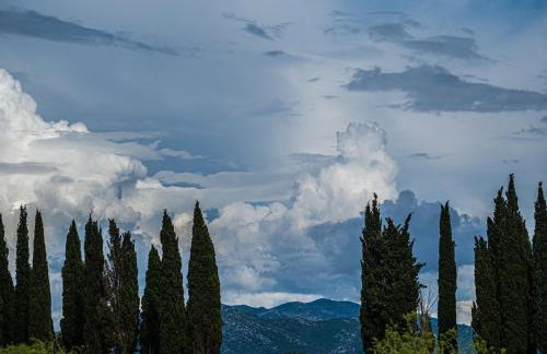 Nera Etwa House - Photo 65