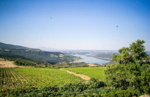 Castello di Titignano - Foto 18