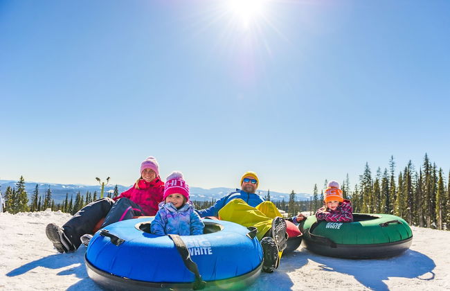 Stonegate Resort - Photo 43