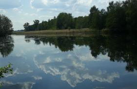 Bolschwitz 39 - Foto 14