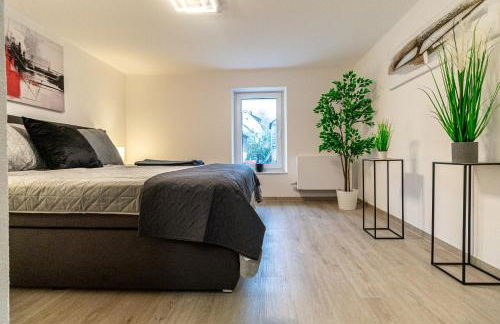 FeWoMo Exclusives Moselappartment, Boots Slipanlage, Moselradweg, Zentral, 5 Gäste - Foto 17