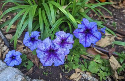 Apartment Luna i Lucky - Foto 38