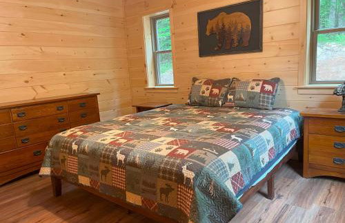 Blissful Bear - Foto 15