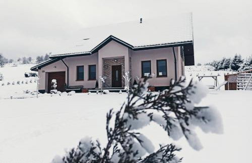 Willa Maja Bieszczady noclegi Bieszczady - Foto 52