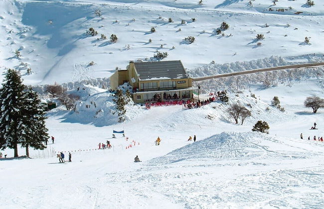 Arcadia Getaway - Levidi Sani 11 Studio - Foto 28