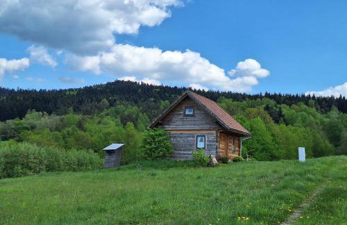 Zacisze Babci Ludwisi w Beskidzie Niskim - Photo 1