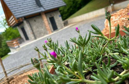 Kuća za odmor LO - Photo 6