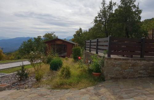 Pallas Casa - Photo 37