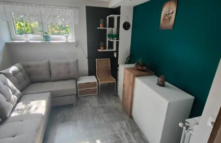 Apart Radzice - Foto 9