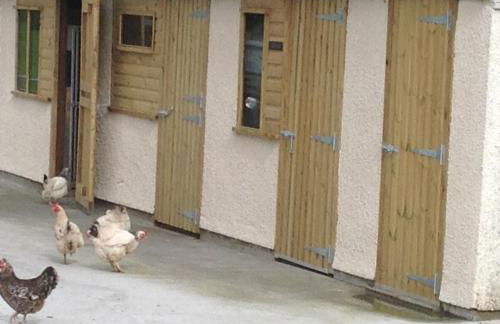 The Little cow shed - Foto 3