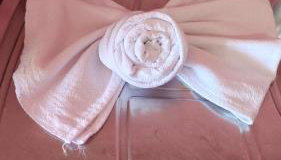 casarosaencantada -villaencantorosa - Foto 2