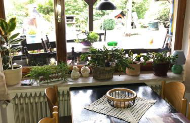 Ferienwohnung Wolf - Foto 18