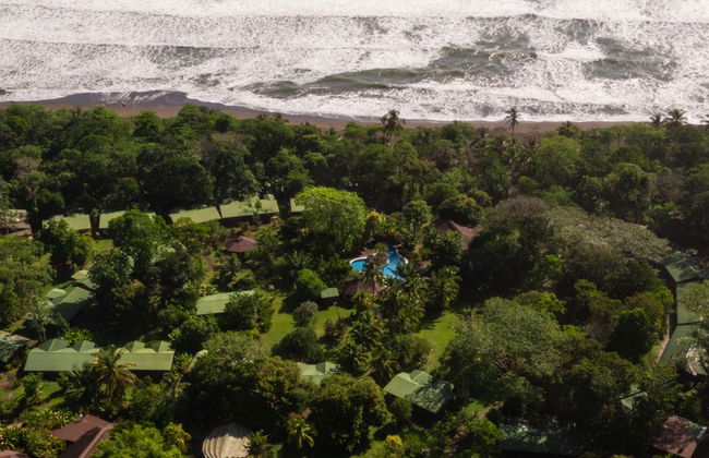 Tour di 2 o 3 giorni nel Parco Nazionale Tortuguero - Foto 1