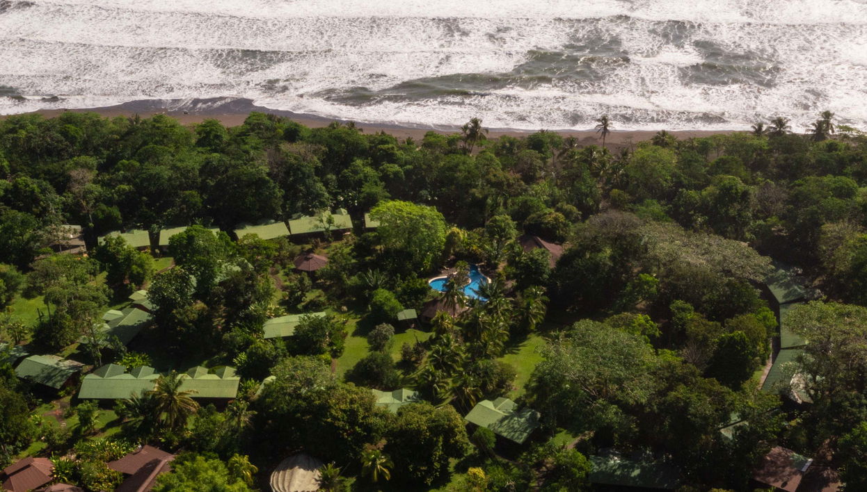 Tortuguero National Park Multi-Day Tour