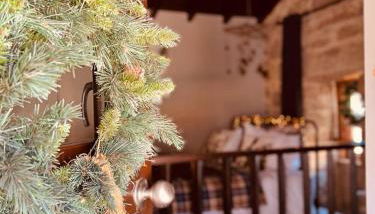 Palheiro Mezio - Photo 3