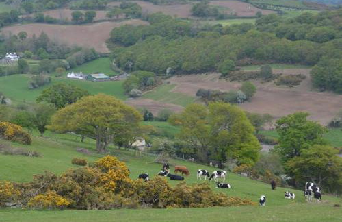 4 Bed in Llanrwst oc-66510 - Foto 30