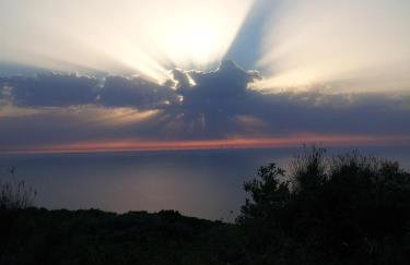 Natura Villas - Photo 40