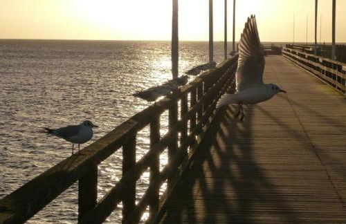 Little Havana - Großenbrode - Foto 14