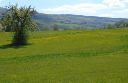 Ferienwohnung Rhön - Foto 34
