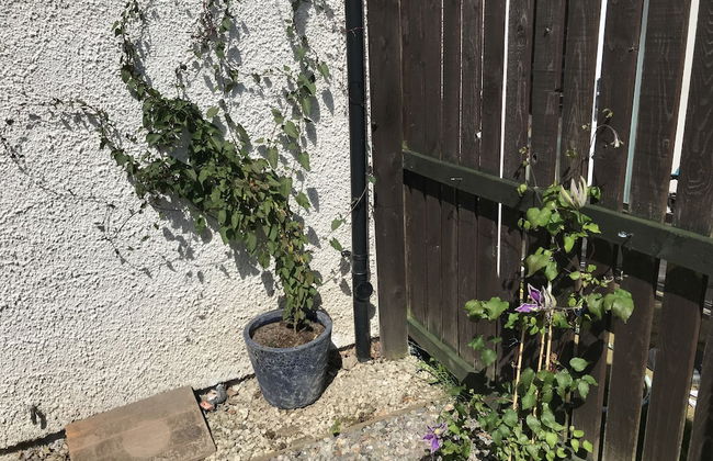 The Old Scout Hall - Foto 30