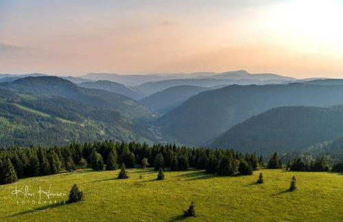 Haus Wiesenquelle - Fewo 14 "Timeout", Feldberg - Foto 36