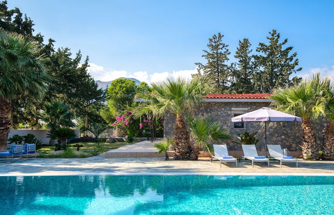 Madia Villa - Photo 1