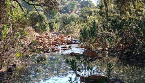 Casa Lucas Andrew - Foto 3