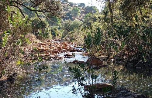 Casa Lucas Andrew - Foto 3