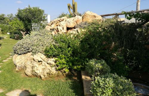 La scogliera - Foto 26