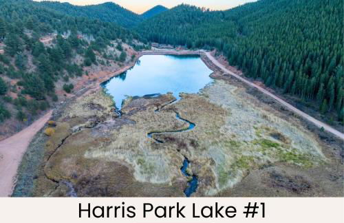 Mountain cabin w game room & hot tub - Foto 51