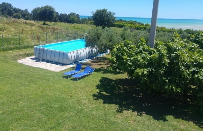 Il Giardino fra gli Ulivi - Foto 27