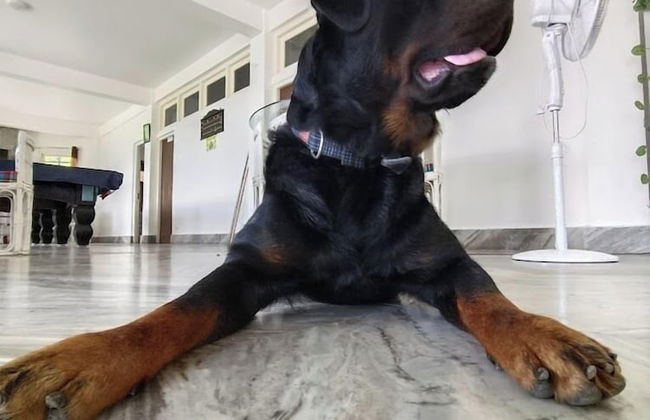 sb vacation homes - Photo 22