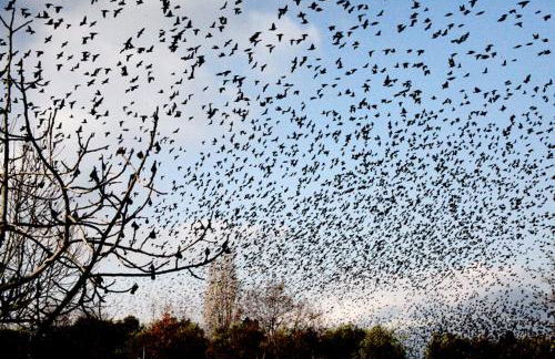 Punta Del Corno Agriturismo - Foto 38