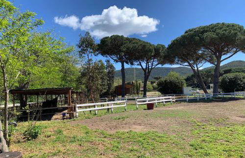 La casa delle stelle - Foto 17