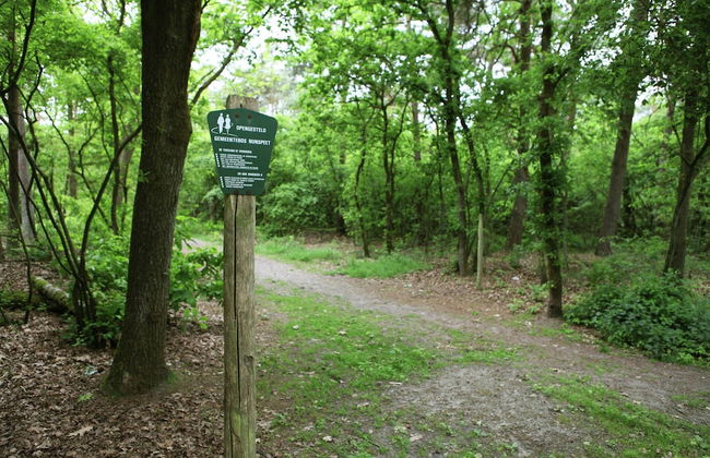 Family Villa w/ Trampoline, Pool - Photo 34