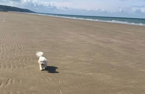 Superbe vue mer panoramique F3 - Photo 26