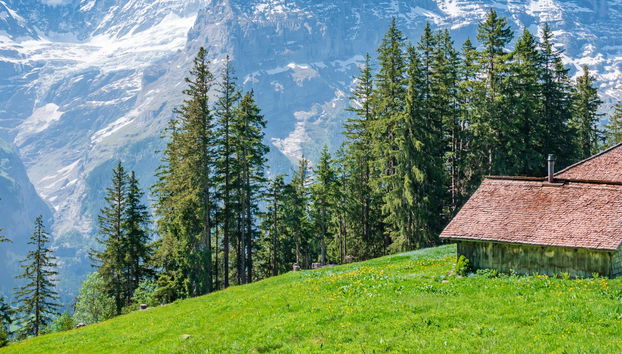 Escursione a Grindelwald e al Monte First