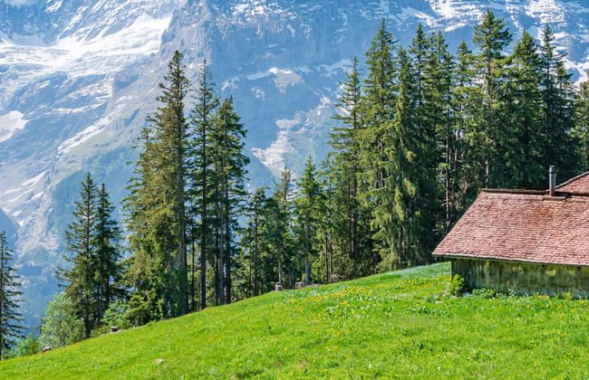 Excursión a Grindelwald y el Monte First - Foto 5