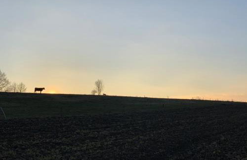 Agroturystyka Zacisze - Foto 13