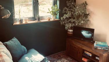 The Apple Shed - cosy cabin nestled in orchard in rural Devon - Foto 1