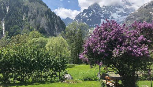 Appartamenti vista Monte Bianco Courmayeur-Entrèves - Foto 2, Garden
