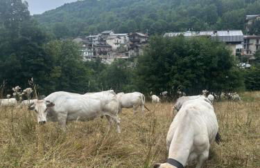 Casa Olivera - Photo 19