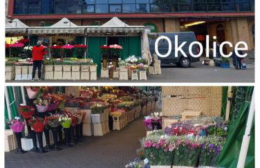 Warszawa Centrum SlowApart - Foto 42