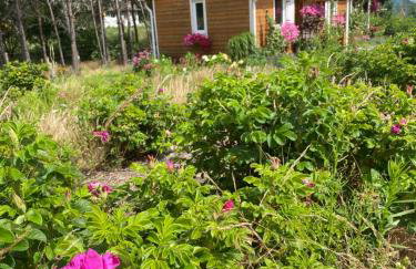 Różana Zagroda Agroturystyka - Foto 9