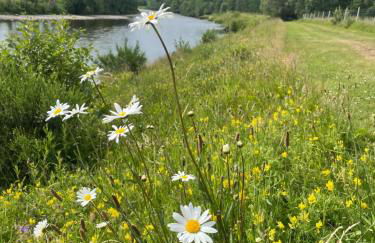 Daisy Cabin - Photo 33