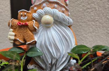 Appartamento Teodorico Ravenna - Foto 66