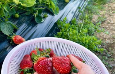 Domus de Goene - Foto 37